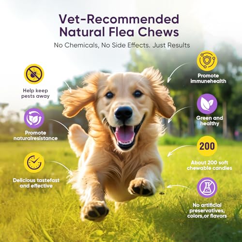 Dog Flea & Tick Chewable 200-Count Natural Support - Image 5