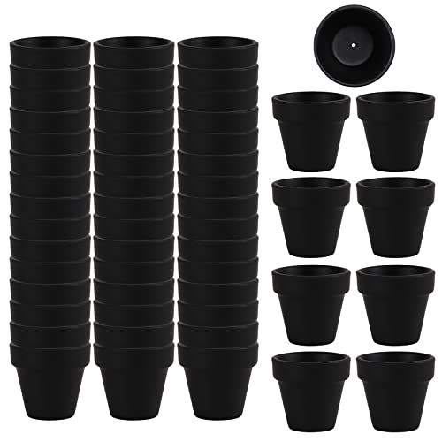 50% Off: 54-Pack Mini Black Clay Pots for Succulents - Image 1