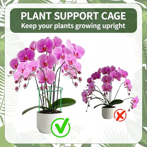 24 Pack Plant Support Stakes with Stackable Design - Image 3
