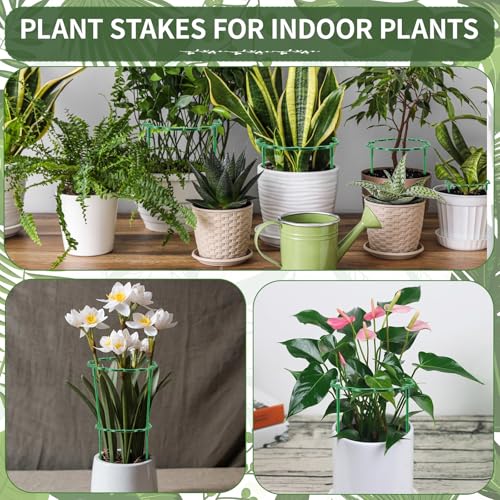 Save 40% on 24-Pack Stackable Plant Support Stakes - Image 8