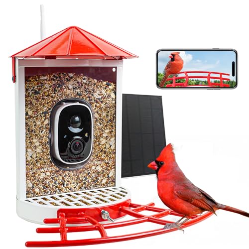 Smart Solar Bird Feeder Camera with AI Bird ID - Image 1