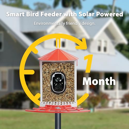 Smart Solar Bird Feeder Camera with AI Bird ID - Image 5