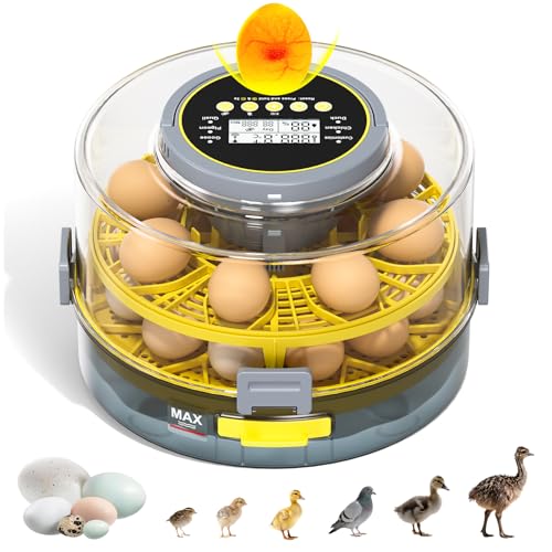 34% Off 20-Egg Incubator with Auto Turner & LED Candler - Image 1