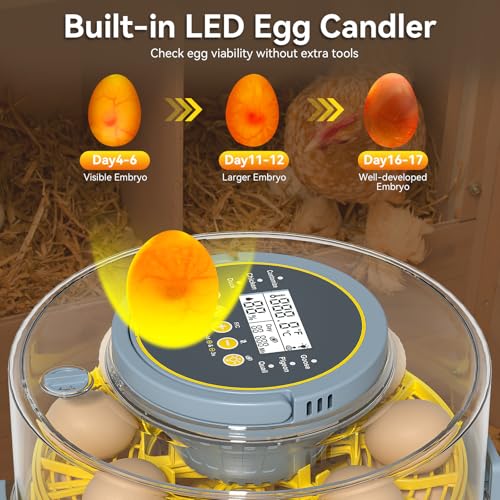 34% Off 20-Egg Incubator with Auto Turner & LED Candler - Image 3