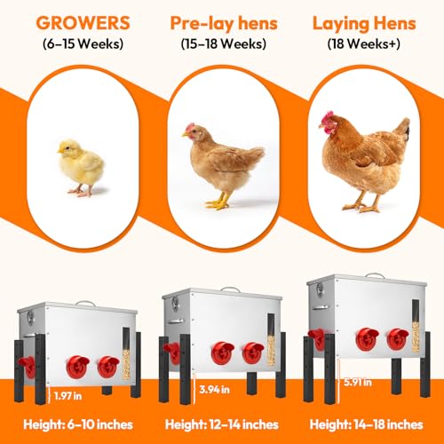 50% Off Metal Chicken Feeder 40lb – Auto & No Waste - Image 5