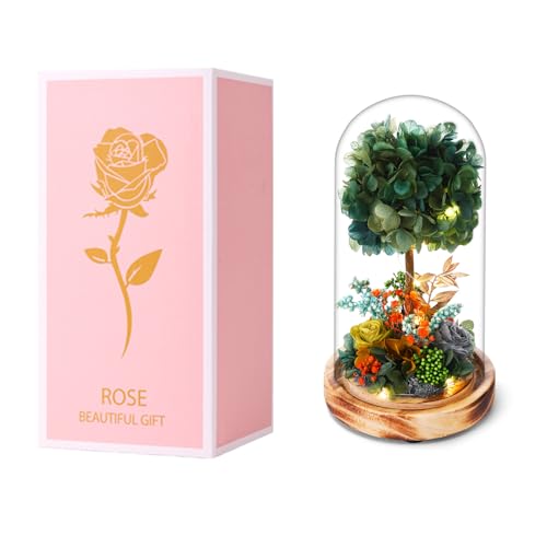 50% Off Preserved Floral LED Arrangement for Home Decor - Image 1