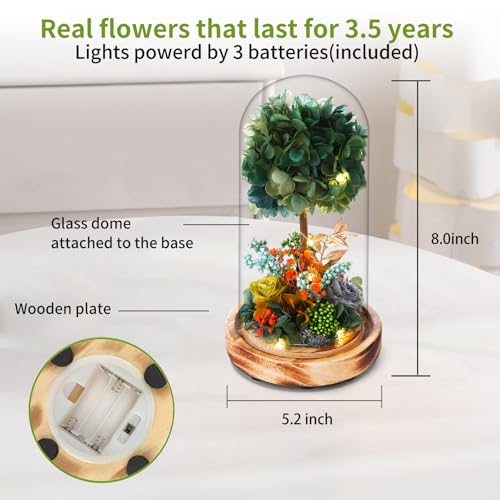 50% Off Preserved Floral LED Arrangement for Home Decor - Image 3