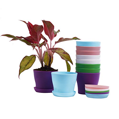 38% Off TDHDIKE 10-Pack Mini Plastic Planters with Trays - Image 7