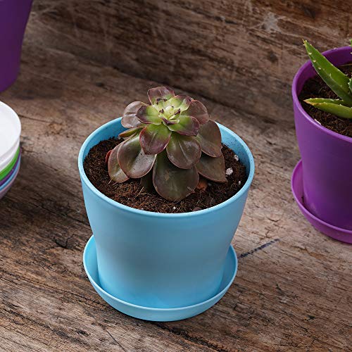 38% Off TDHDIKE 10-Pack Mini Plastic Planters with Trays - Image 8