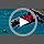 Save with code HTJFSQU8 on Shark Dog Life Jacket - Image 8