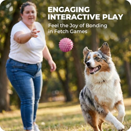 42% Off Apasiri Durable Squeaky Dog Ball for Large Dogs - Image 4