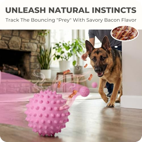 42% Off Apasiri Durable Squeaky Dog Ball for Large Dogs - Image 5