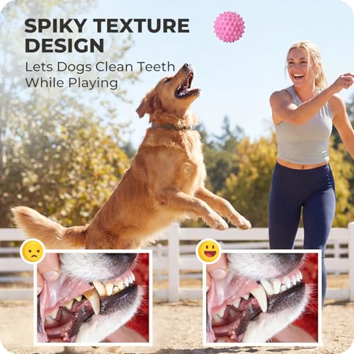 42% Off Apasiri Durable Squeaky Dog Ball for Large Dogs - Image 6