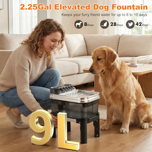 50% Off RPZ 9L Dog Water Fountain - Image 3
