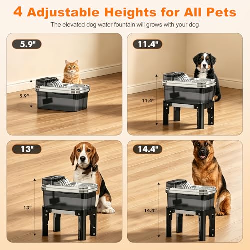 50% Off RPZ 9L Dog Water Fountain - Image 4