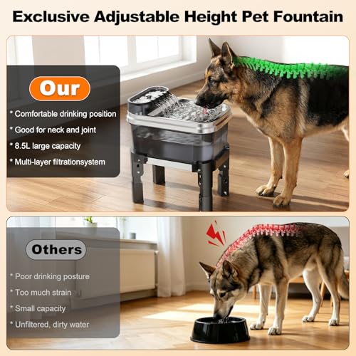 50% Off RPZ 9L Dog Water Fountain - Image 5