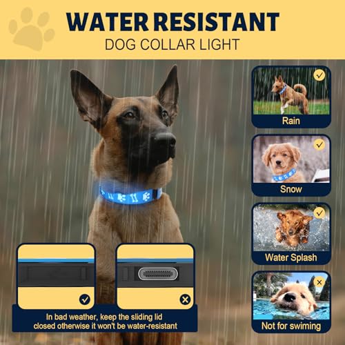 30% OFF TOPOTO Glowing Dog Collar with Code UTQOYROD - Image 6