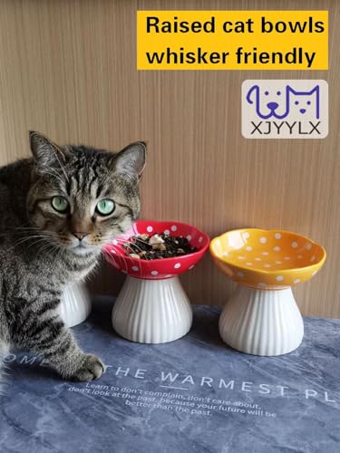 27% Off Elevated Mushroom Ceramic Cat Bowls – Raised Design - Image 3