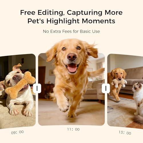 Save $54.01 on Cypcat 3K Pet Camera Treat Dispenser - Image 7