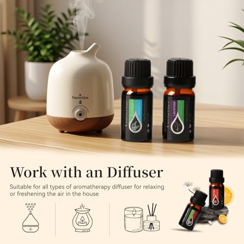 Essential Oil 20-Pack Deal: Refresh Any Room - Image 4