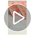 50% Off 3D Cat Ice Cube Mold Silicone Tray for Cocktails - Image 8