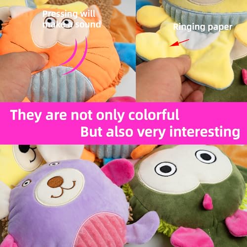 50% Off 5-Pack Squeaky Dog Toys for Small to Large Dogs - Image 5