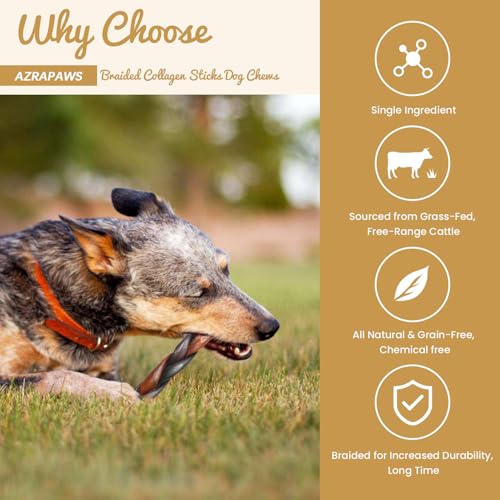 5% Off Braided Collagen Sticks for Medium & Large Dogs - Image 4