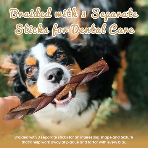 5% Off Braided Collagen Sticks for Medium & Large Dogs - Image 5