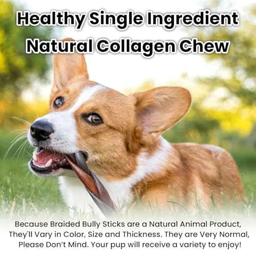 5% Off Braided Collagen Sticks for Medium & Large Dogs - Image 7