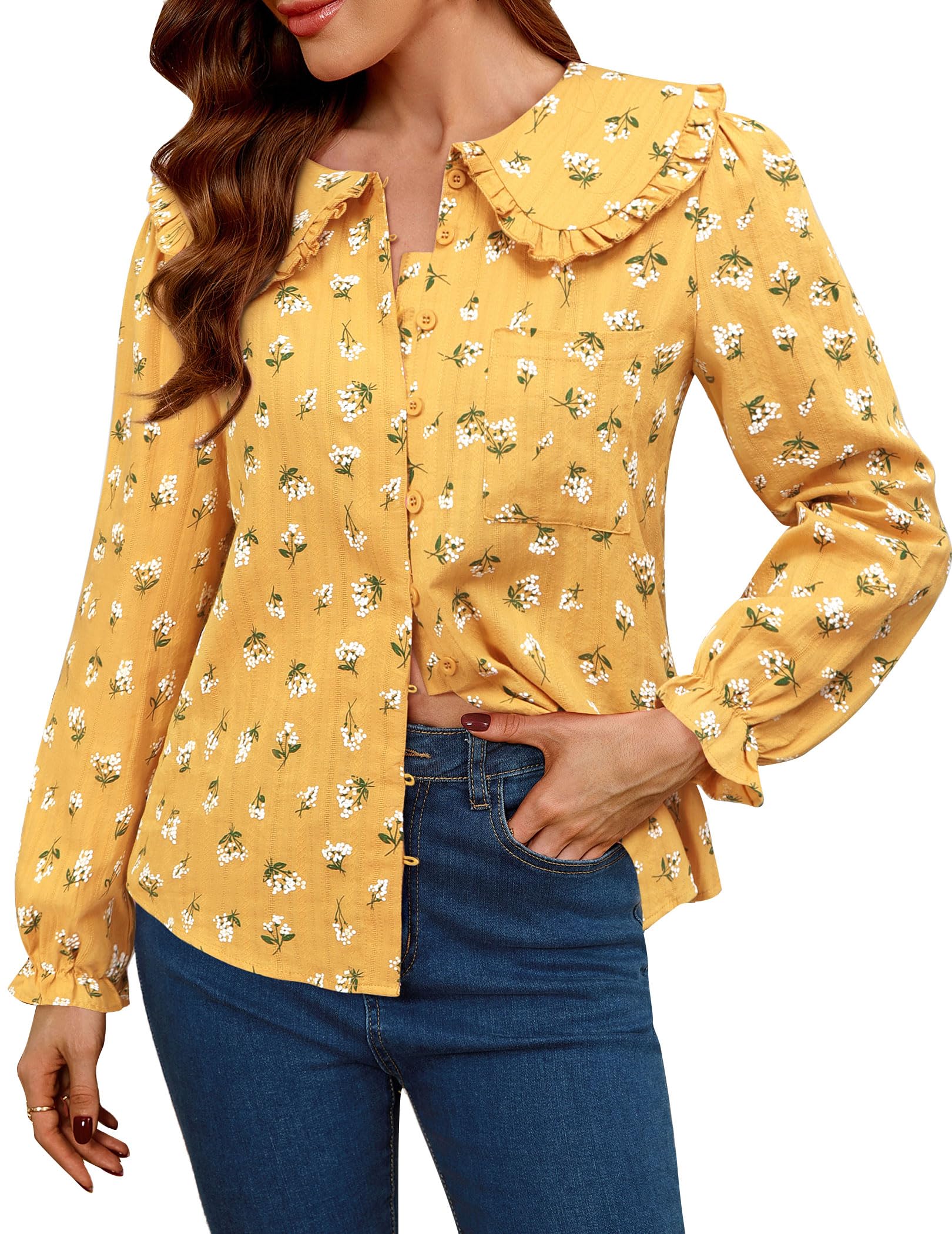 Save $15 on a LOOKBOHO Peter Pan Collar Blouse for Women