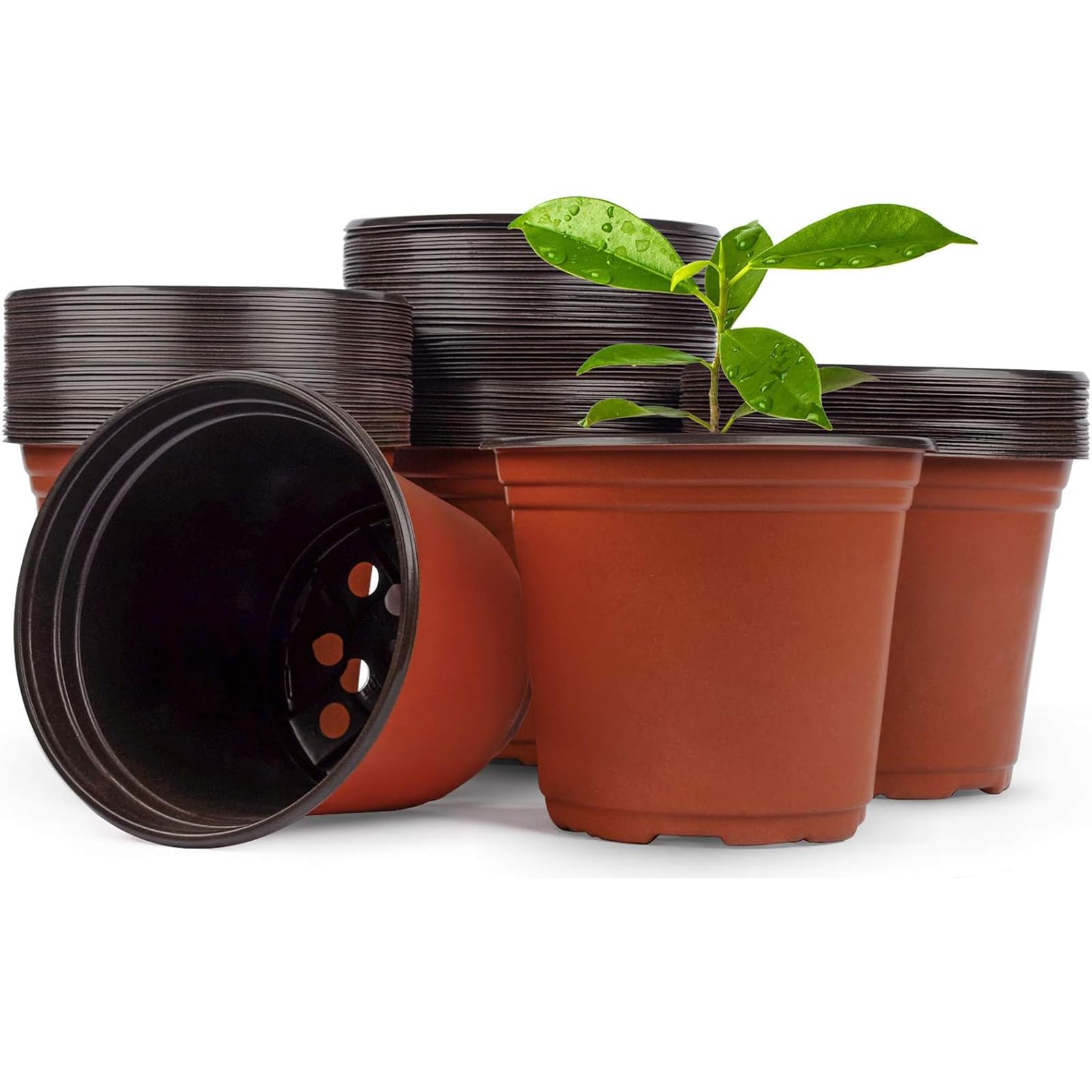 50% Off 100-Pack 6 Inch Plastic Nursery Pots for Seed Starting