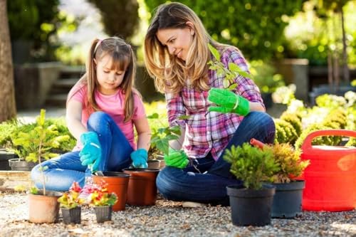 50% Off 100-Pack 6 Inch Plastic Nursery Pots for Seed Starting - Image 6