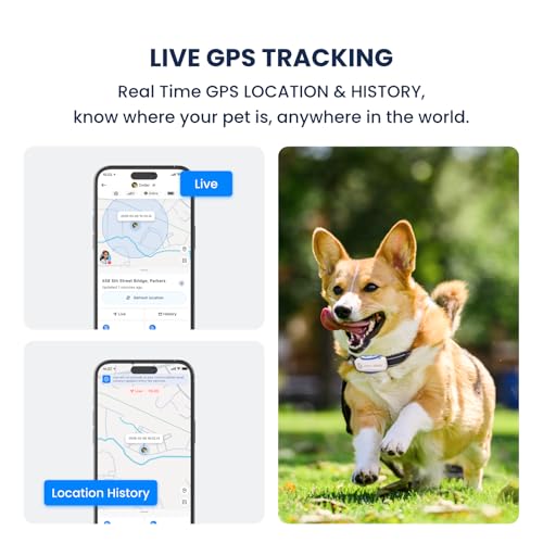 59% Off DBDD AI GPS Tracker for Dogs with Code OT3DOODE - Image 4