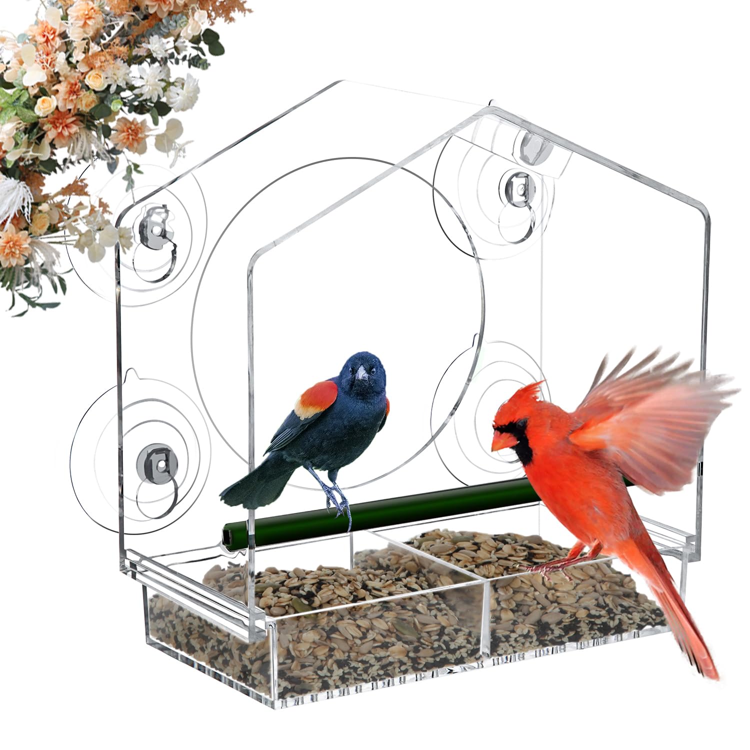 Save 5% on Jarkyfine Window Bird Feeder with Clear Viewing