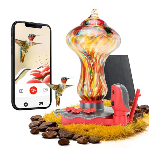 50% Off TT Nature Smart Hummingbird Feeder with Camera - Image 2