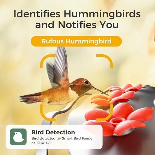 50% Off TT Nature Smart Hummingbird Feeder with Camera - Image 3