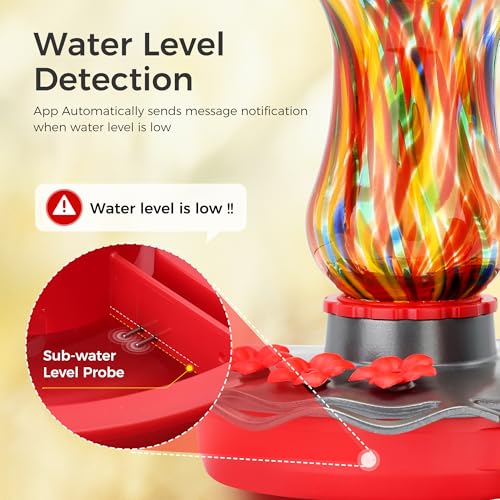 50% Off TT Nature Smart Hummingbird Feeder with Camera - Image 4