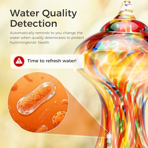 50% Off TT Nature Smart Hummingbird Feeder with Camera - Image 5