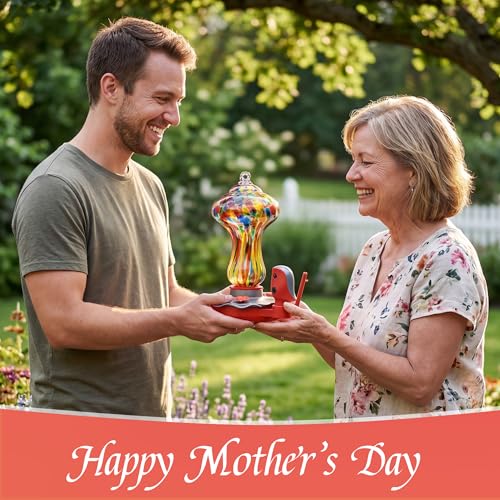 50% Off TT Nature Smart Hummingbird Feeder with Camera - Image 6