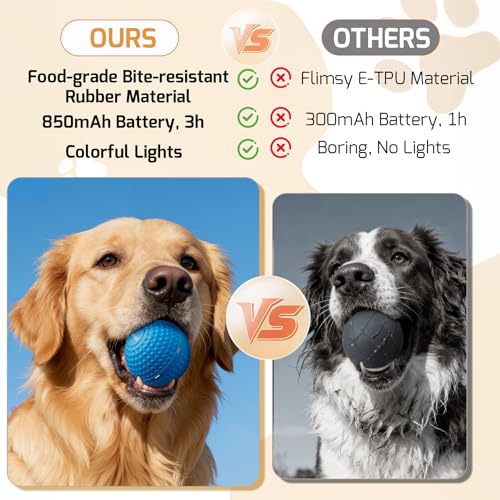 26% Off SNOYWEN Interactive Dog Toy - Auto Rolling Ball - Image 3