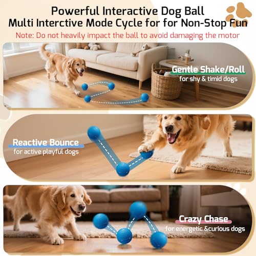 26% Off SNOYWEN Interactive Dog Toy - Auto Rolling Ball - Image 5