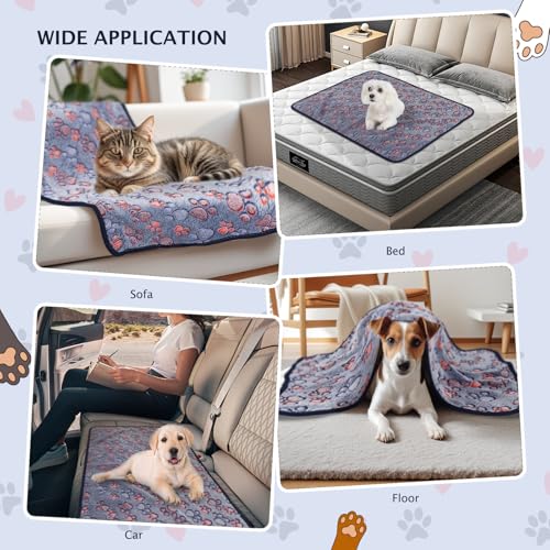 50% Off BVAGSS 6 Pack Small Dog Blankets Super Soft - Image 3