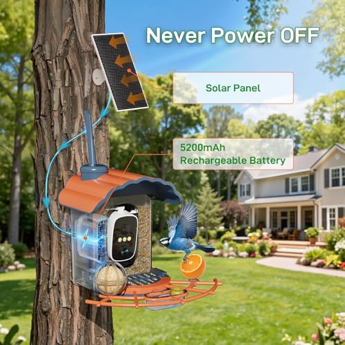 40% Off Smart Bird Feeder with Camera Solar Powered - Image 6