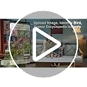 40% Off Smart Bird Feeder with Camera Solar Powered - Image 8