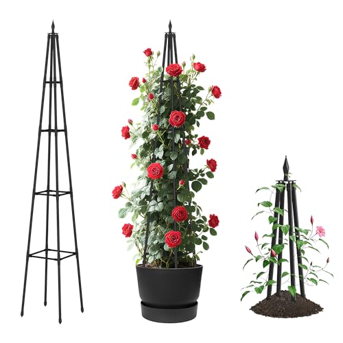6FT Obelisk Trellis for Climbing Plants – Sturdy & Space-Saving - Image 2