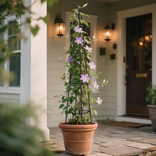 6FT Obelisk Trellis for Climbing Plants – Sturdy & Space-Saving - Image 7