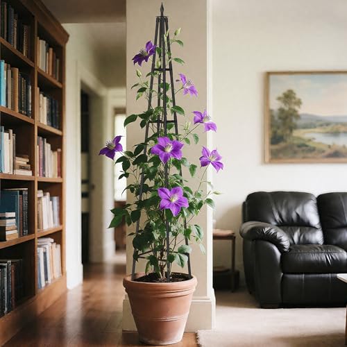 6FT Obelisk Trellis for Climbing Plants – Sturdy & Space-Saving - Image 8