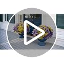50% Off Ivydale 20PCS Artificial Pansy Flowers for Outdoor - Image 8