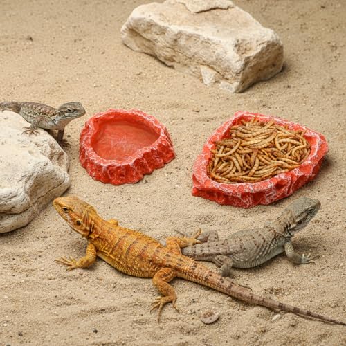 50% Off! Frcctre 4-Pack Reptile Food Dish & Tongs Set - Image 6