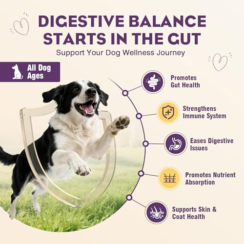 Save with Code: Probiotics for Dogs 200 Chews – Gut Health - Image 3